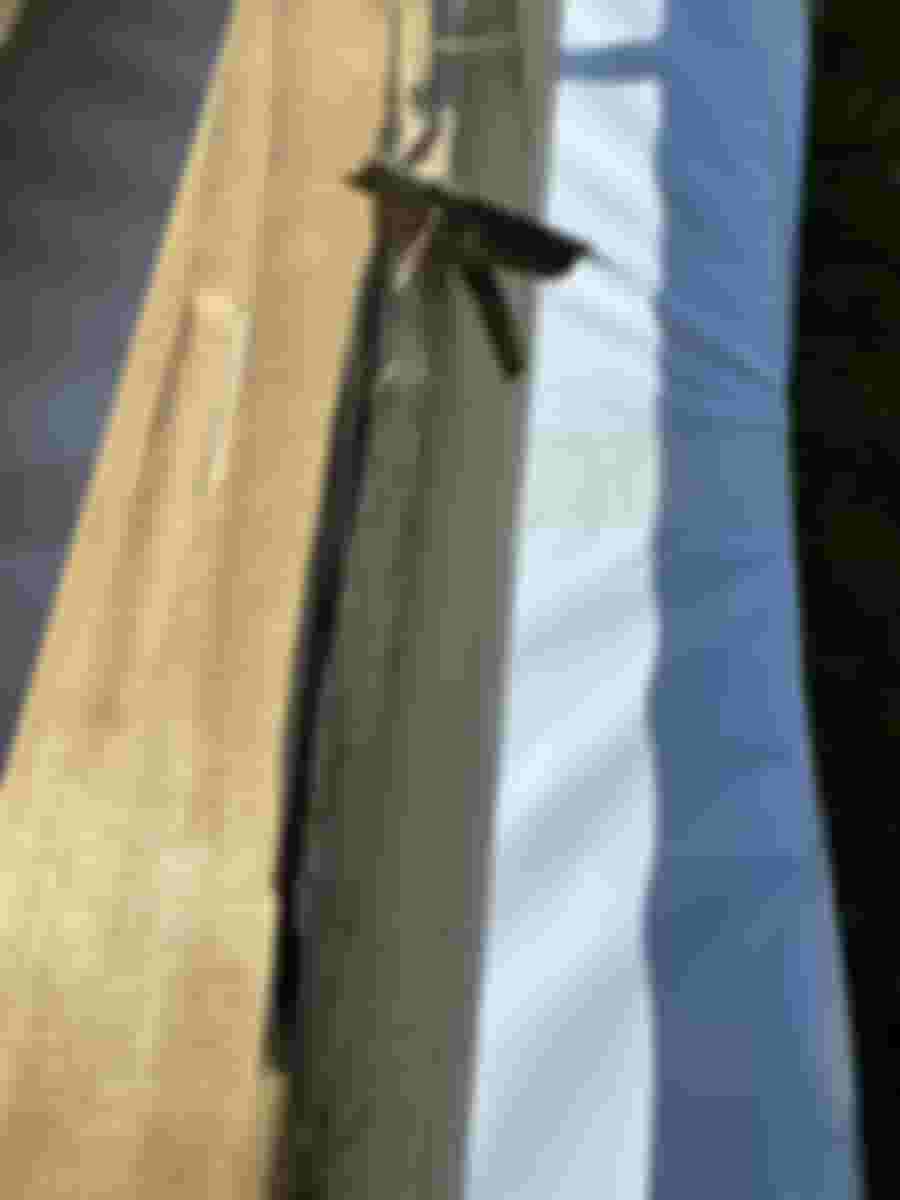 Närbild av en träbit med skador, inklusive sprickor och en utstickande del, på en vit bakgrund som antyder renoveringsarbete.