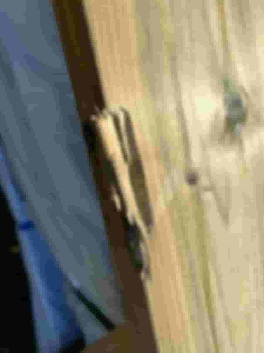 Närbild av en träbit med en skada, där ytan är sprucken och delvis fläkt bort, vilket visar tydliga tecken på slitage.