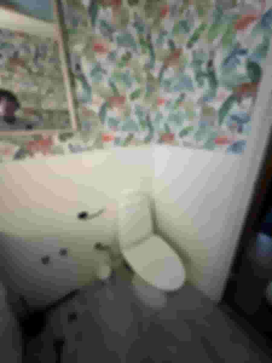 Färgglatt badrum med djungeltapet, vita kakelplattor och modern toalett. Verktyg på golvet antyder pågående renovering.