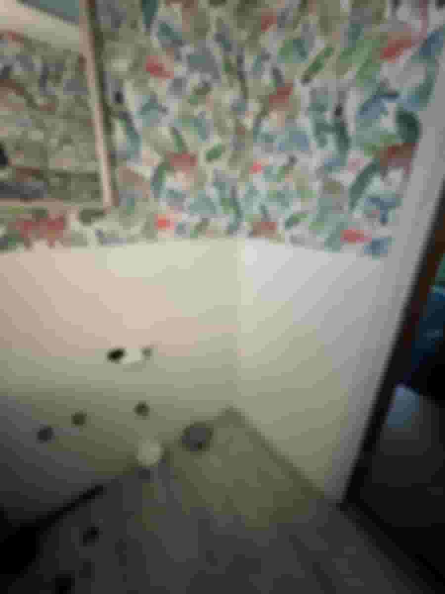 Badrum under renovering med livfull djungeltapet och vita kakelplattor. Verktyg och material syns på golvet.