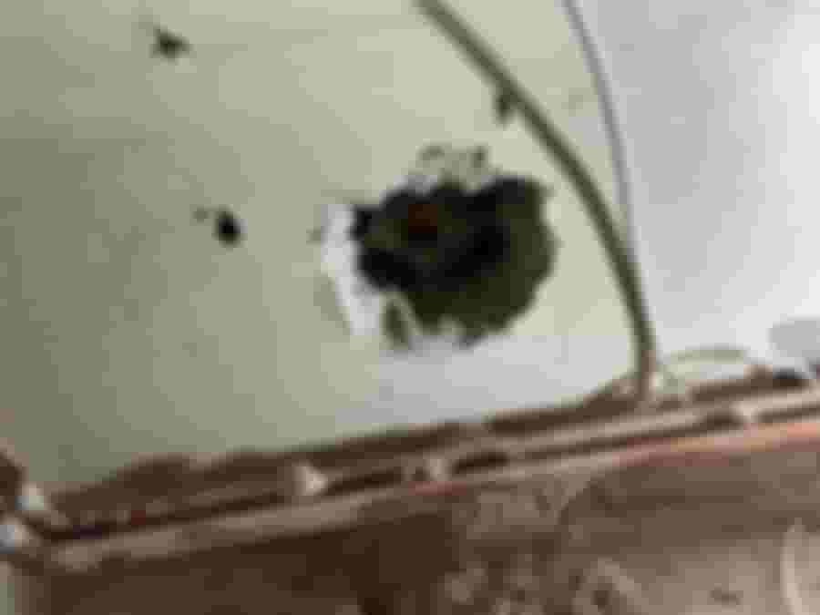 Hål i väggen mellan badrum och sovrum under renovering.